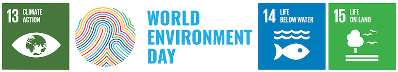 UN Environment Day - 5 June, SDG 13, SDG 14, SDG 15